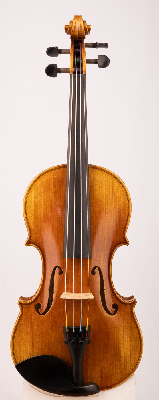 Advancing Violin Model V300